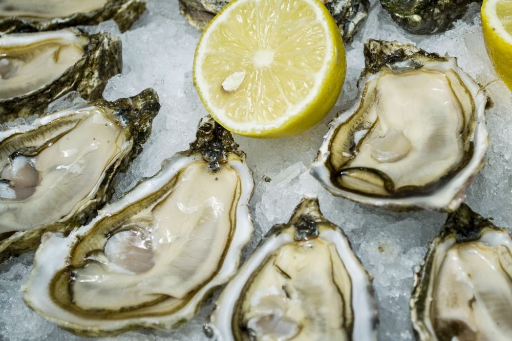 More than 20 Louisiana residents have contracted Vibrio vulnificus, which can cause illness when a person eats raw or undercooked seafood.