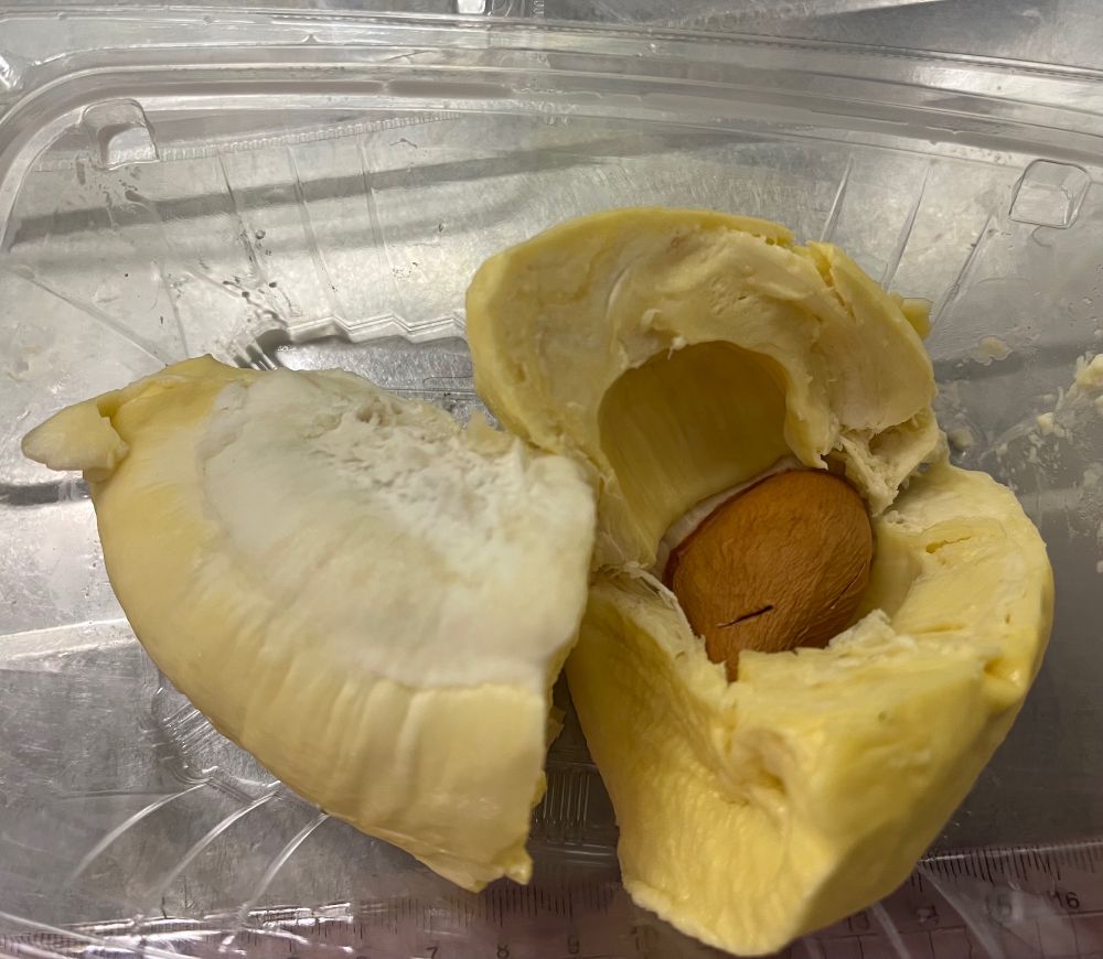 ドリアンの切り身を果肉の流れに沿って剥がしているところ。
切り身と言ったものの、実際は切ったというよりは皮のないみかんのように一房剥がした状態のようだ