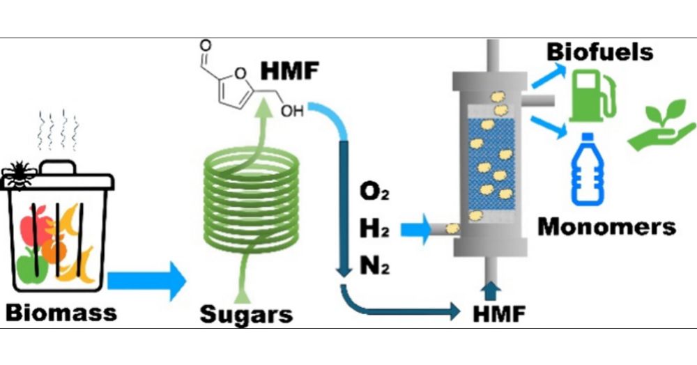 Advances in Continuous Flow Production of 5-(Hydroxymethyl)furfural, 2,5-Furandicarboxylic Acid, 2,5-Diformylfuran, and 2,5-Dimethylfuran