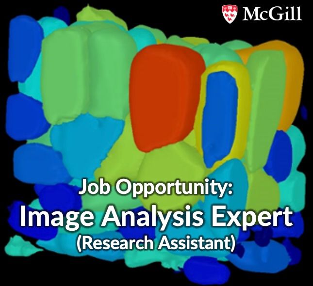 Job advertisement for image analysis expert