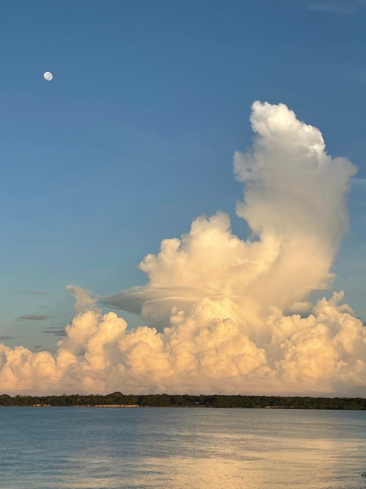 Monsoon rain clouds in the early morning sunlight. 