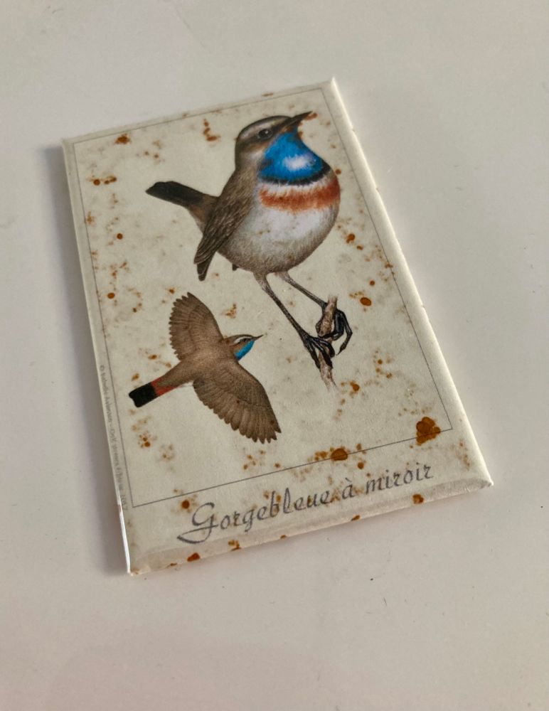 Magnet de Frigidaire avec l’oiseau « gorge bleue à miroir ».