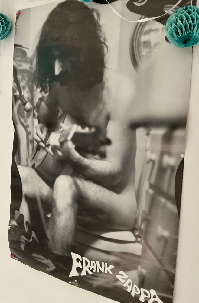 Frank Zappa playing guitar, naked on the toilet seat.