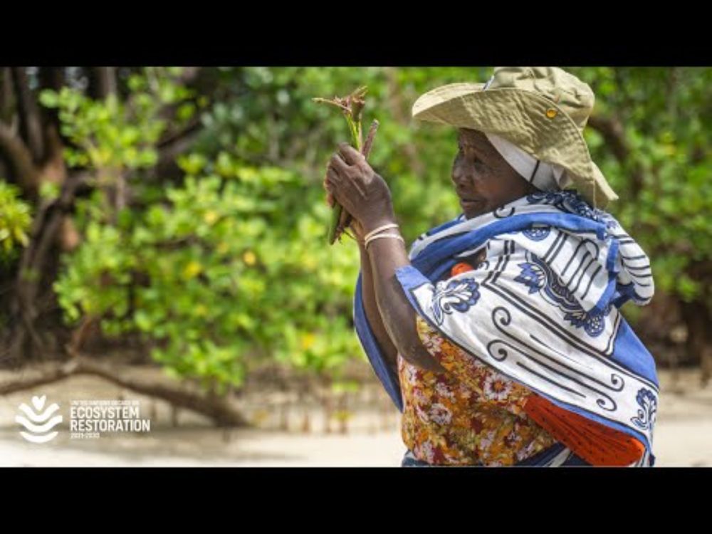 Trailer: RESTORE the Indian Ocean’s Seedbed
