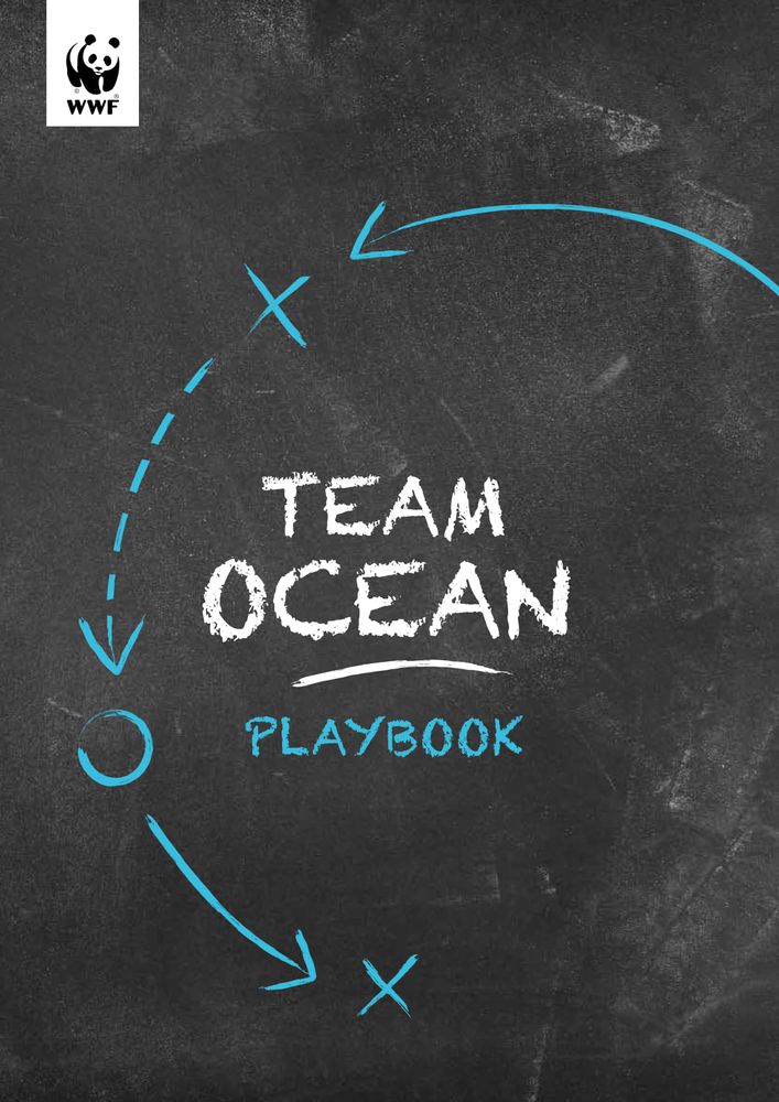 Cover of WWF's Team Ocean Playbook, a policy brief for the UN Ocean Conference.