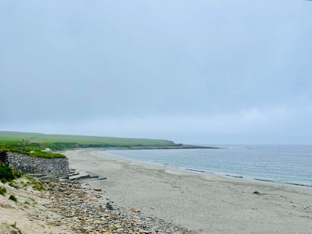 Colour photo of a sandy beach beside a bay with a green headland in the distance. On the left is a stone wall protecting the Neolithic Skara Brae village. On the beach on the right is an indistinct tangle with trailing bits. Is it an octopus?