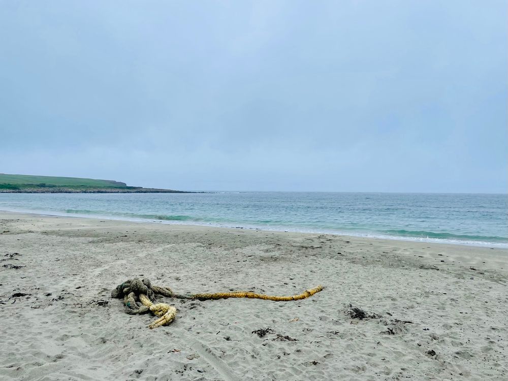 Closer view of the tangled thing from the first photo. It’s a jumble of thick ropes used on boats, with tendril-like rope ends emerging from a central mass. It is not an octopus. 