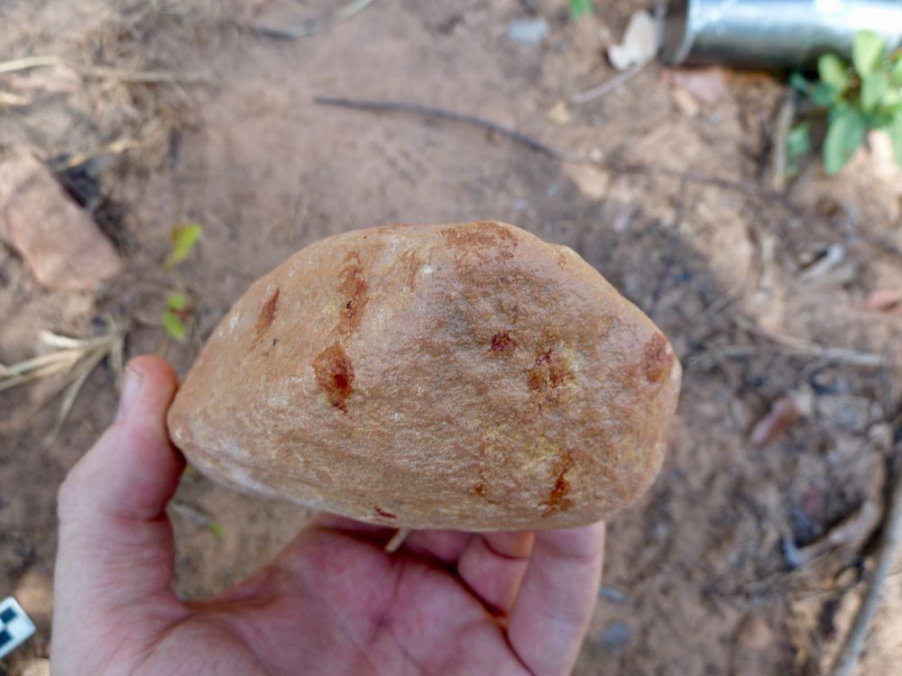 My left hand holding a light brown quartzite cobble with a dusty, sandy soil and sparse grass behind. The cobble has several reddish stains, each roughly the size of a small fingerprint, dotted around its surface.