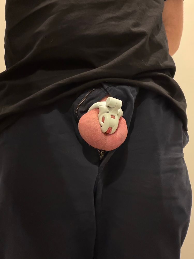A baby narrow cobra chastity cage peeping through the zipper on pants. 