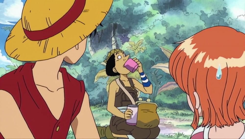 One Piece Episode 18 Frame (202/373)