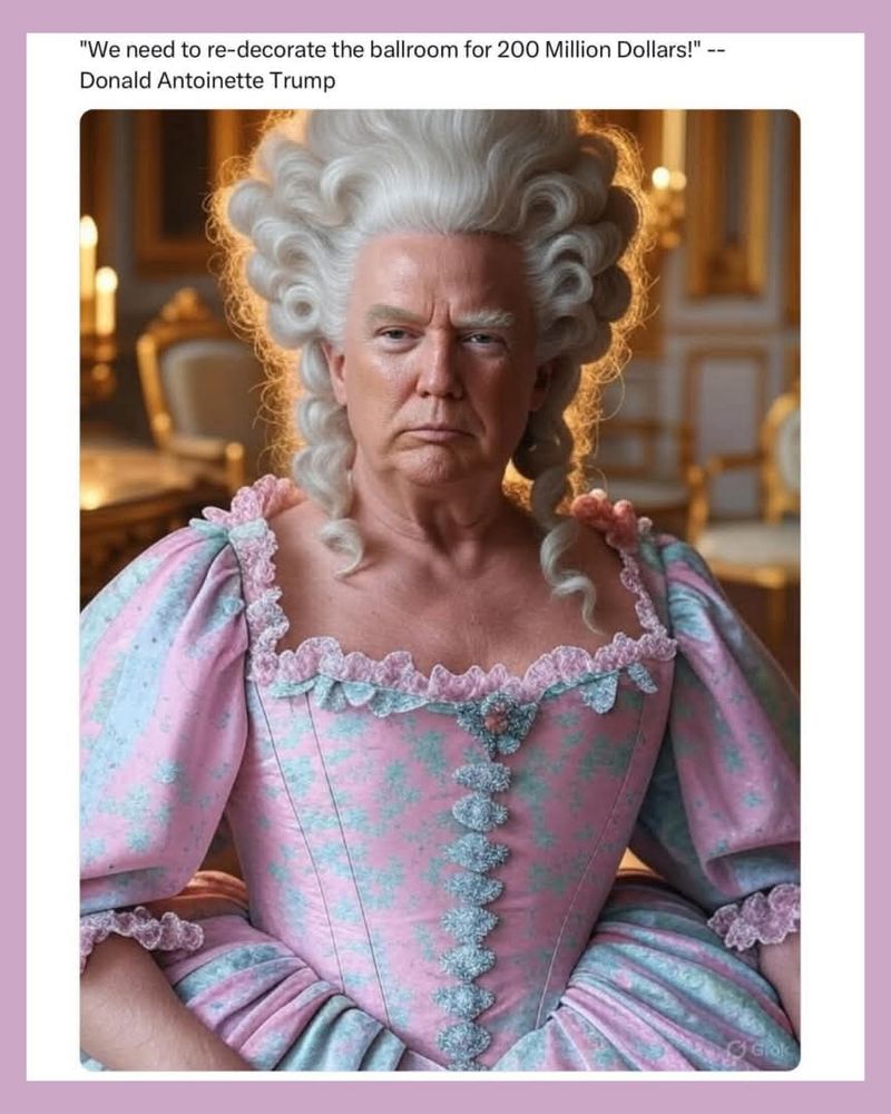 Picture of Donald Trump dressed to look like Marie Antoinette. He’s wearing a pink dress with blue flowers and he has a gray female’s wig. Caption reads “We need to re-decorate the ballroom for 200 million dollars!” Donald Antoinette Trump