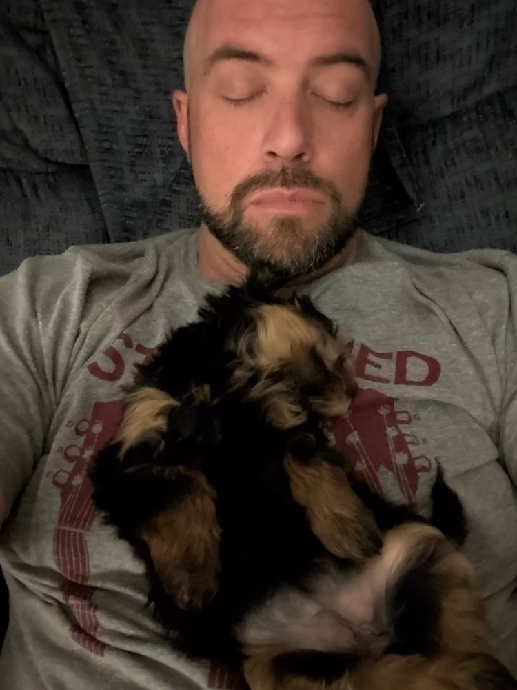 Carma the black and tan female Havapoo sleeps atop her tired dumb owner