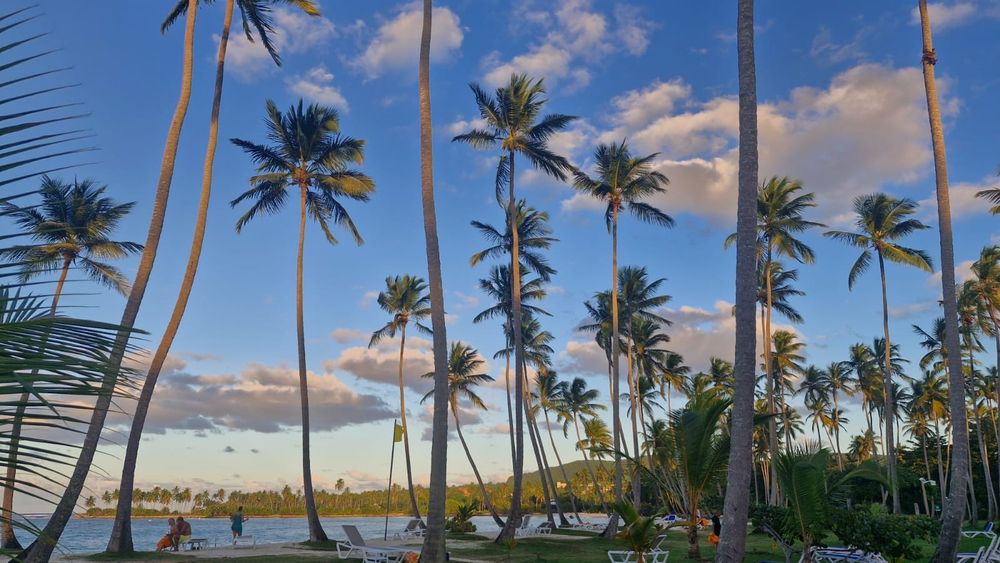 Vista de uma praia do mar republico dominicano, Ceu azul com algumas nuvens brancas acizentadas, cheia de coqueiros e algumas cadeiras de praia e pessoas relaxando
Um mar com 2 cores de azul, imagem paradisíaca.