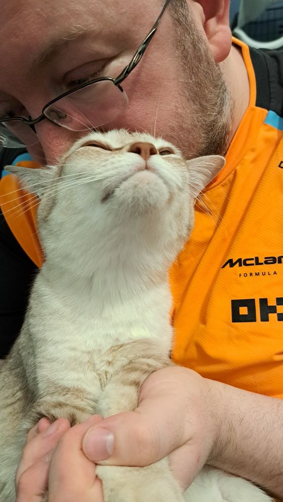 A cat is held by the paws and his neck bitten so he will let us put pills in him.