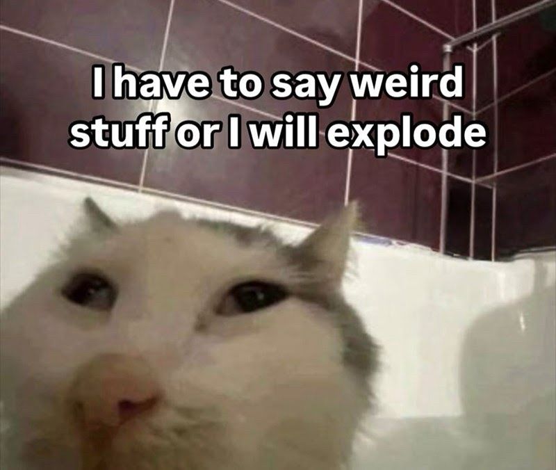 I have to say weird stuff or I will explode