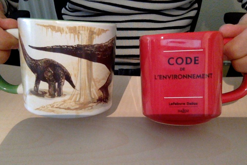 Deux tasses, à gauche représentant des dinosaures, et à droite le code de l'environnement des éditions Dalloz