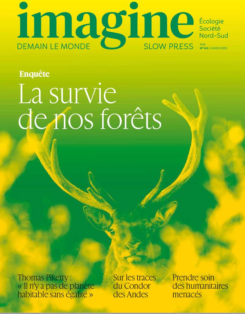 Première de couverture du magazine Imagine de l'hiver 2025, n°163. On y voit une photo de cerf retravaillée en vert et jaune.
