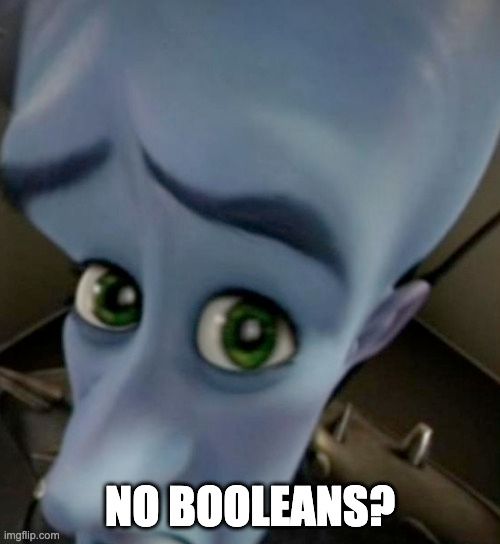 The Megamind "No bitches?" meme, but the text now says, "No booleans?"