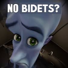The "No bitches?" meme with Megamind looking up at the viewer with a pleading expression but "bitches?" has been replaced with "bidets?" So the meme reads as "No bidets?"