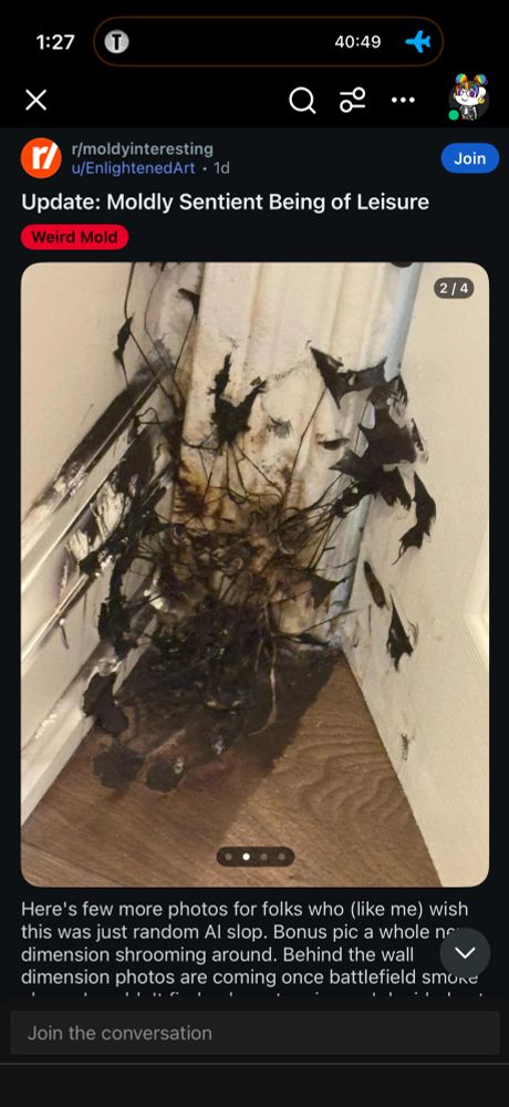 A screencap of a hideous moldy growth between a wall and a doorframe. It’s giving “the dead don’t walk” and falling houses of Usher. 