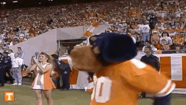 a mascot is standing on a football field with a cheerleader .