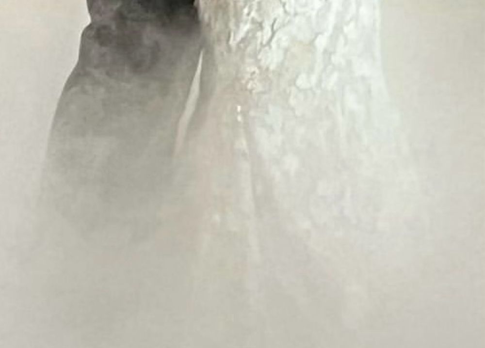 Ghost plume of smoke