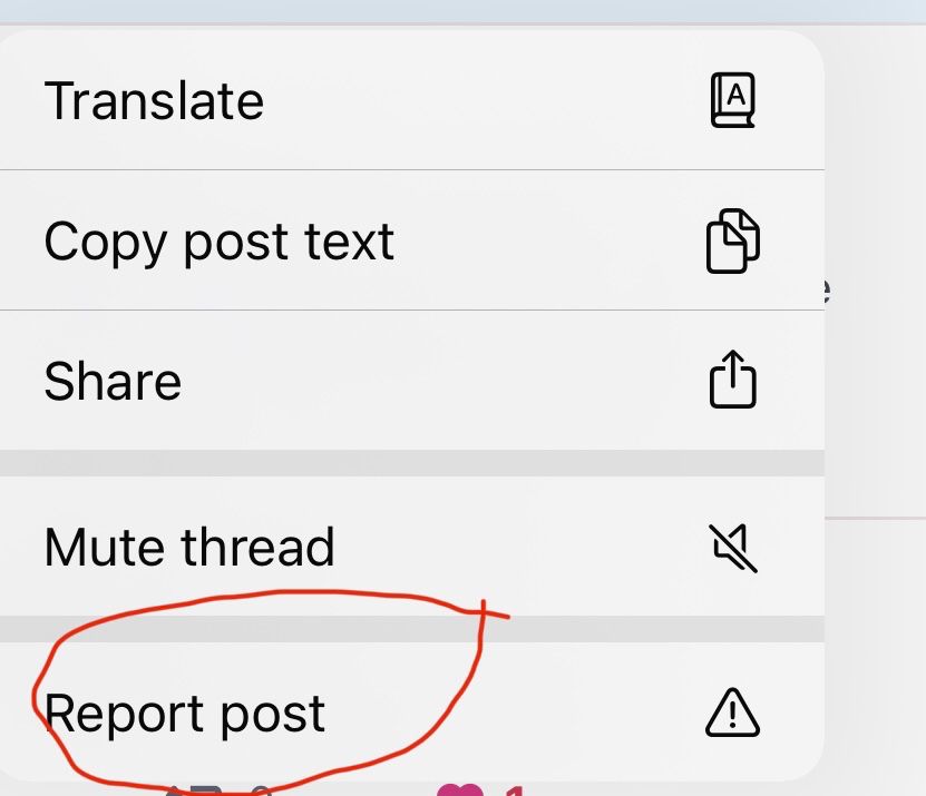 Screenshot from Bluesky with “report post” circled