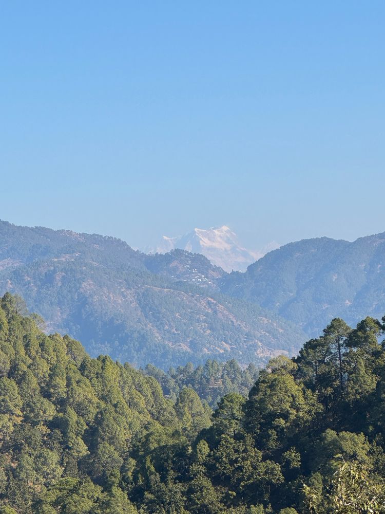 Green mountains with the himalayas peeking from behind