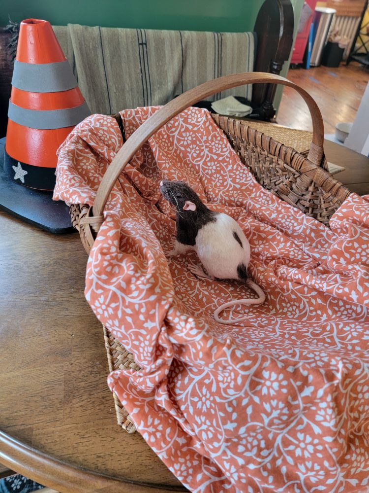 A felted rat sits in a fabric lined basket atop a table
