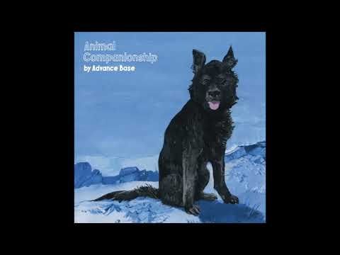 advance base - your dog