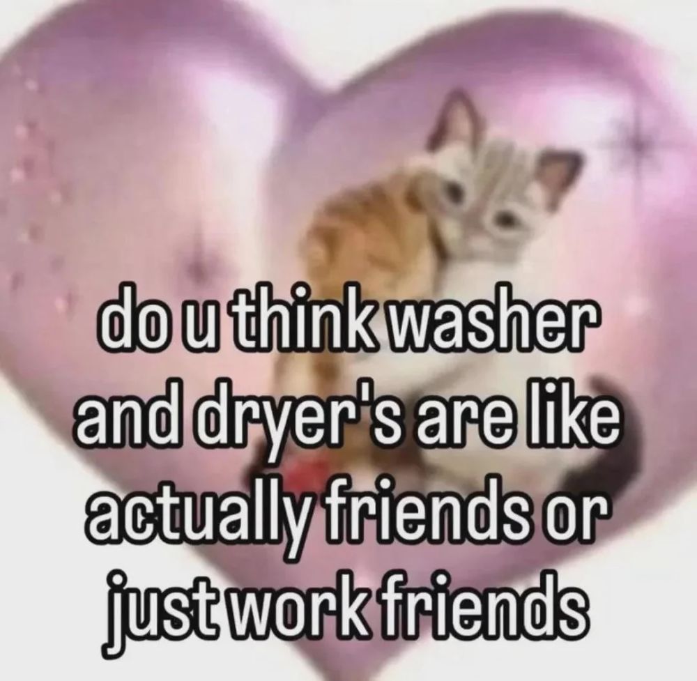 "do u think washer and dryer's are like actually friends or just work friends"