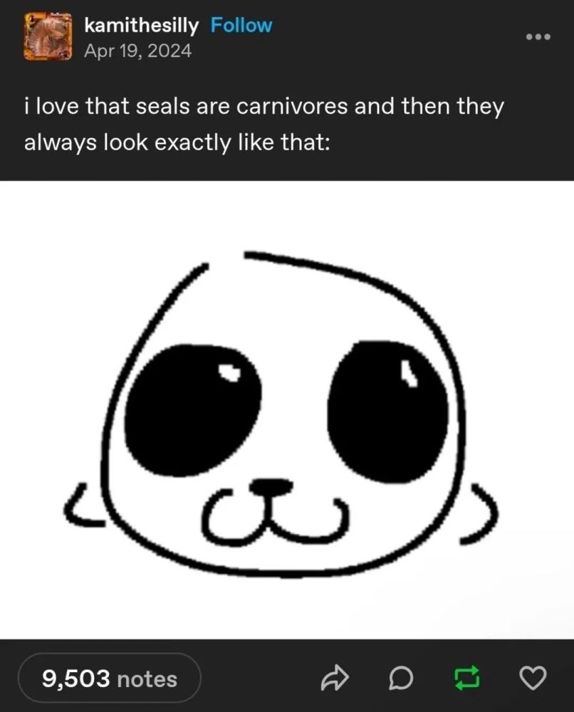Tumblr post by kamit the silly with a crude drawing of a cute looking seal captioned "i love that seals are carnivores and then they always look exactly like that:"