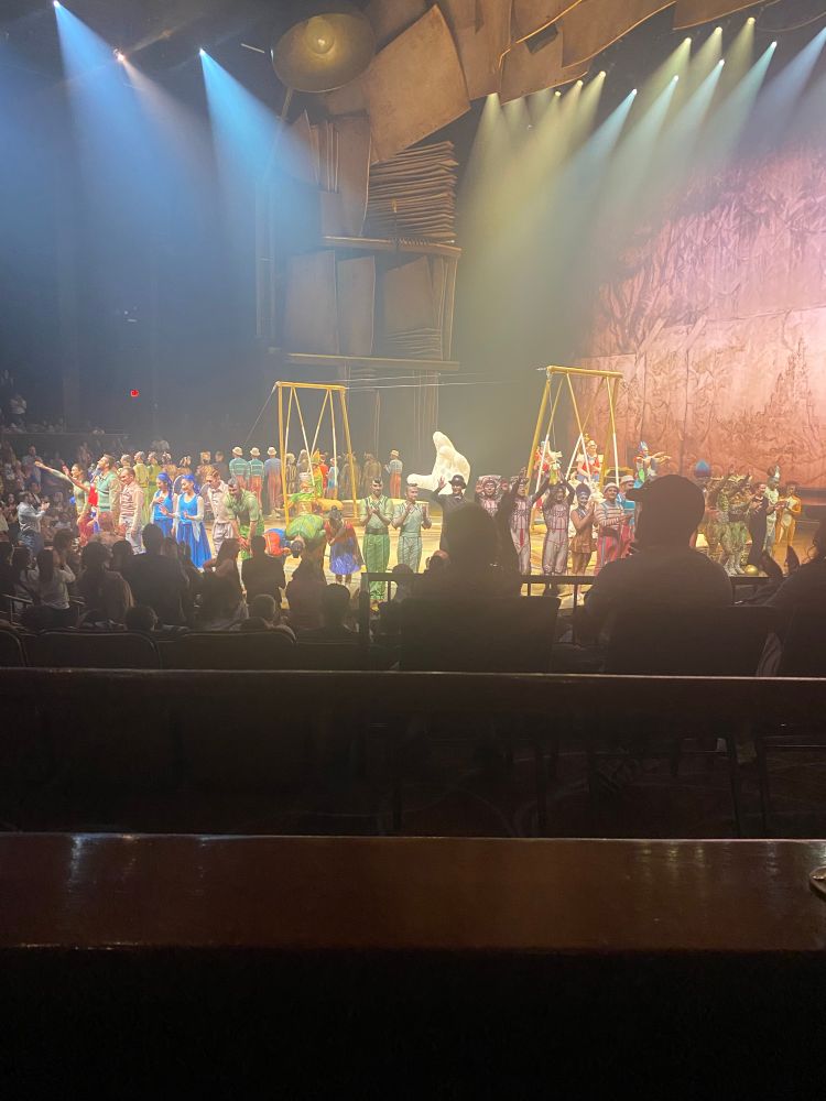 Cirque du Soleil at Disney