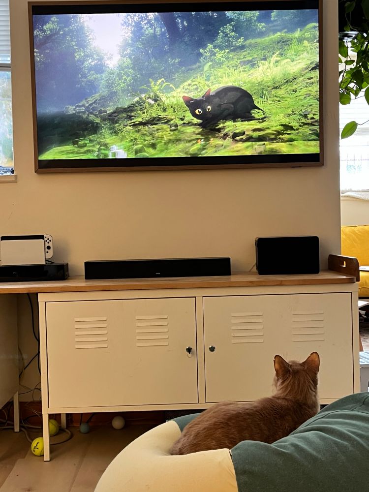 A cat watches the cat from the animated movie Flow.