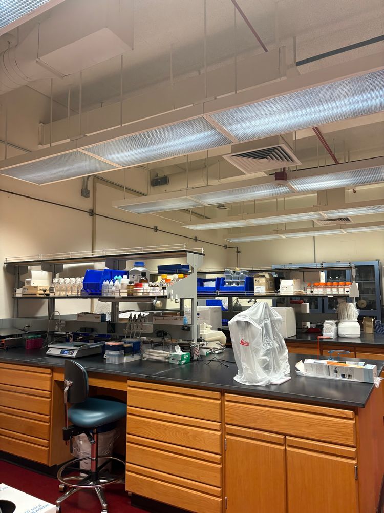 Biomolecular lab 