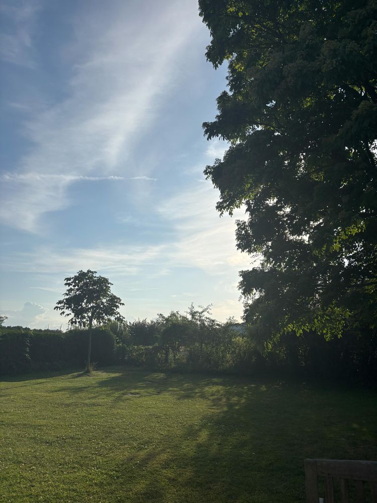 Ein Foto eines Gartens im Sonnenuntergang. Es sind grüner Rasen, Hecken, Sträucher und Bäume zu sehen.