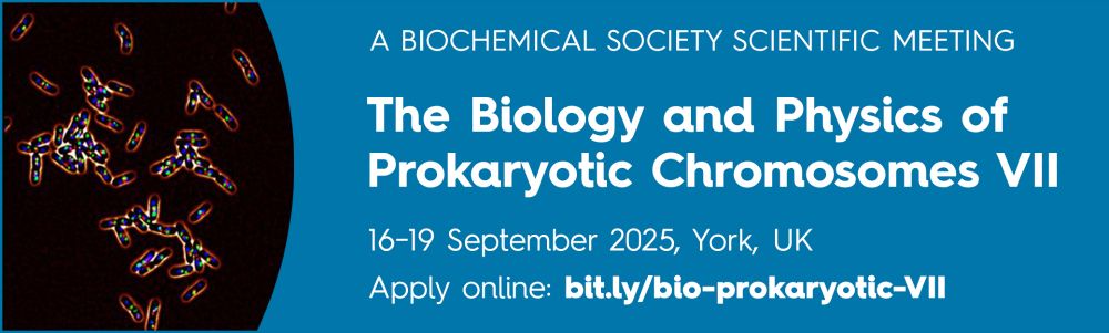 Flyer advertising The Biology and Physics of Prokaryotic Chromosome conference that will be held in York, 16-19 September 2025.