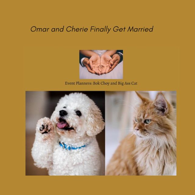 Image: A Black couples hands with a ring in her palm; a white dog, wearing a blue collar, and a large long-haired tan cat. Background is brownish.