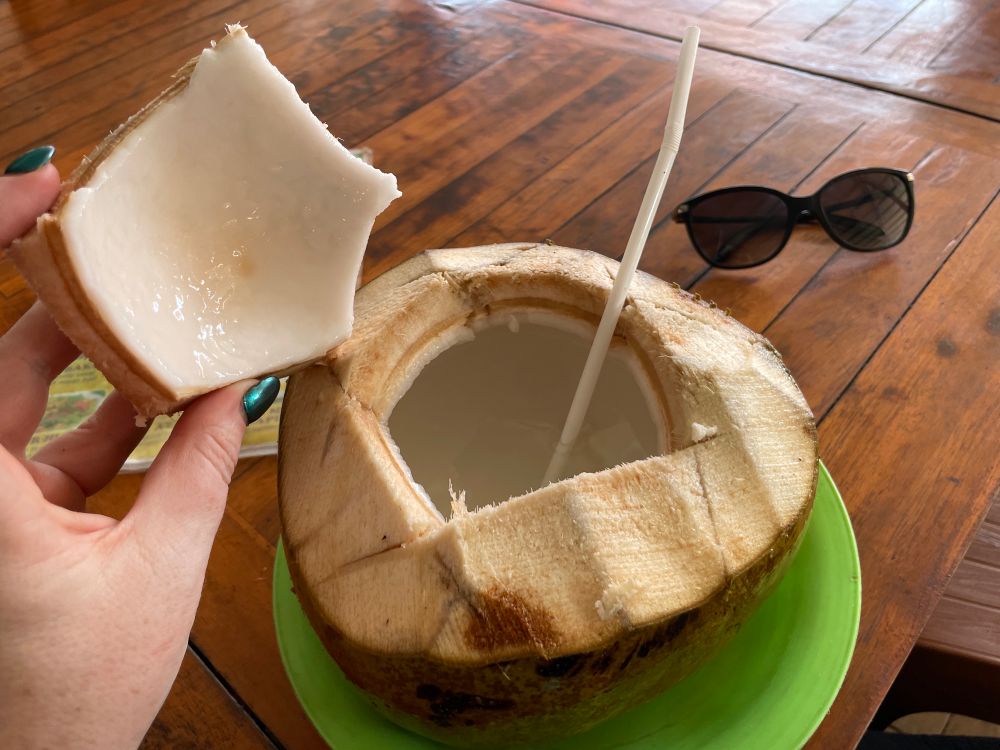 Young coconut with the top cut open. A straw is sticking out of the hole. The piece that has been cut out shows a layer of white coconut flesh on the inside.
