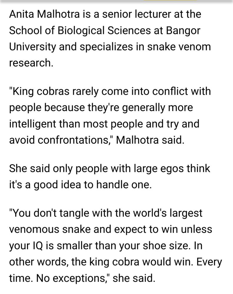 Anita Malhotra is a senior lecturer at the School of Biological Sciences at Bangor University and specializes in snake venom research.

"King cobras rarely come into conflict with people because they're generally more intelligent than most people and try and avoid confrontations," Malhotra said.

She said only people with large egos think it's a good idea to handle one.

"You don't tangle with the world's largest venomous snake and expect to win unless your IQ is smaller than your shoe size. In other words, the king cobra would win. Every time. No exceptions," she said.