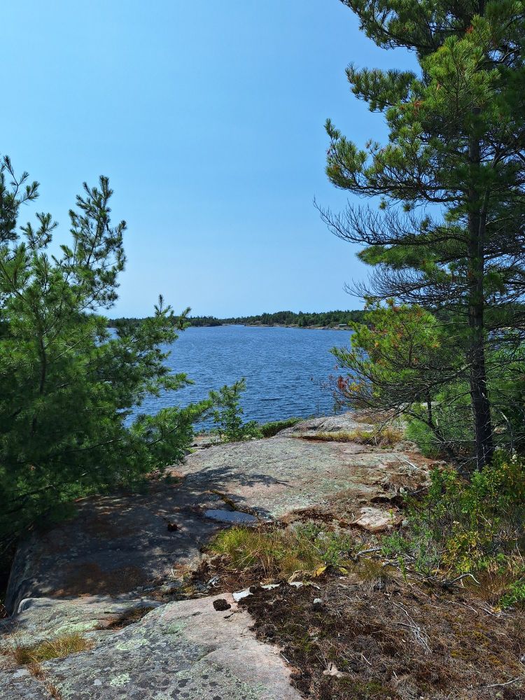 A lake with a smooth rocky foreground, trees and a blue sky
