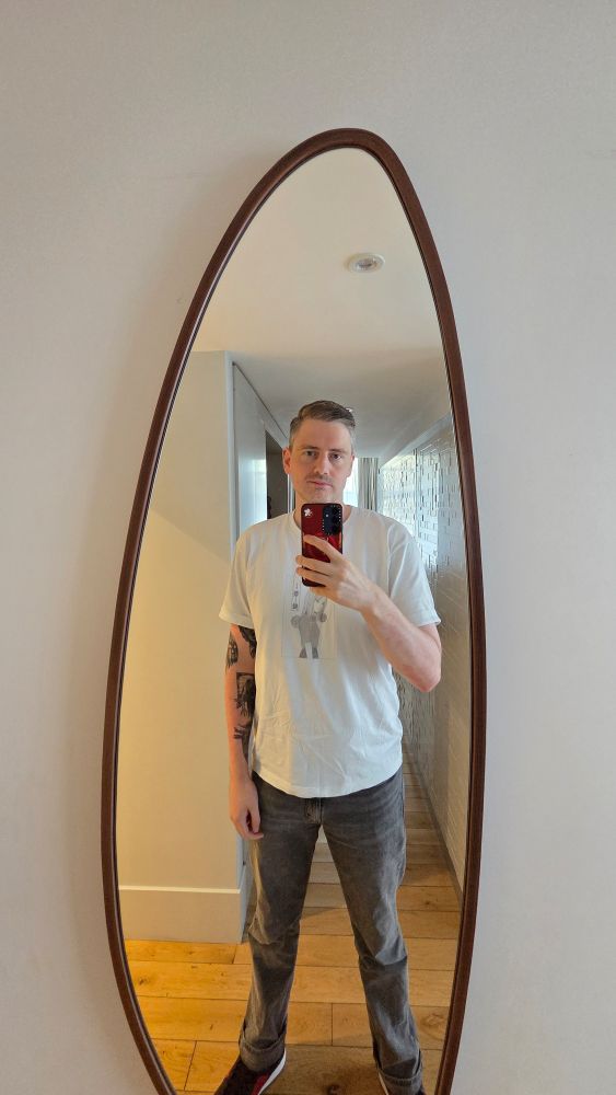 A generic gay taking a hotel mirror selfie. 