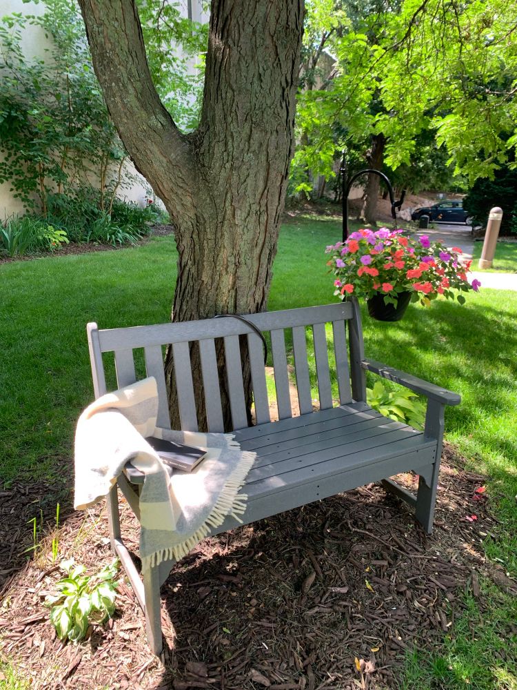 A wee bench in a sunny spot in the common area behind my building 