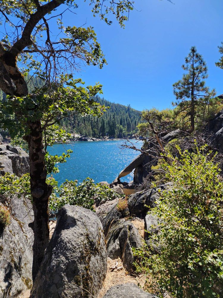 Pinecrest Lake as seen from the shore through a break in the granite and between trees