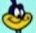 a zoomed in image of the smug looking face of the road runner