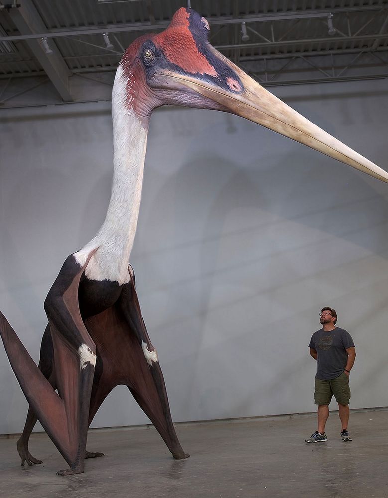 man standing next to a life-size quetzalcoatlus statue
