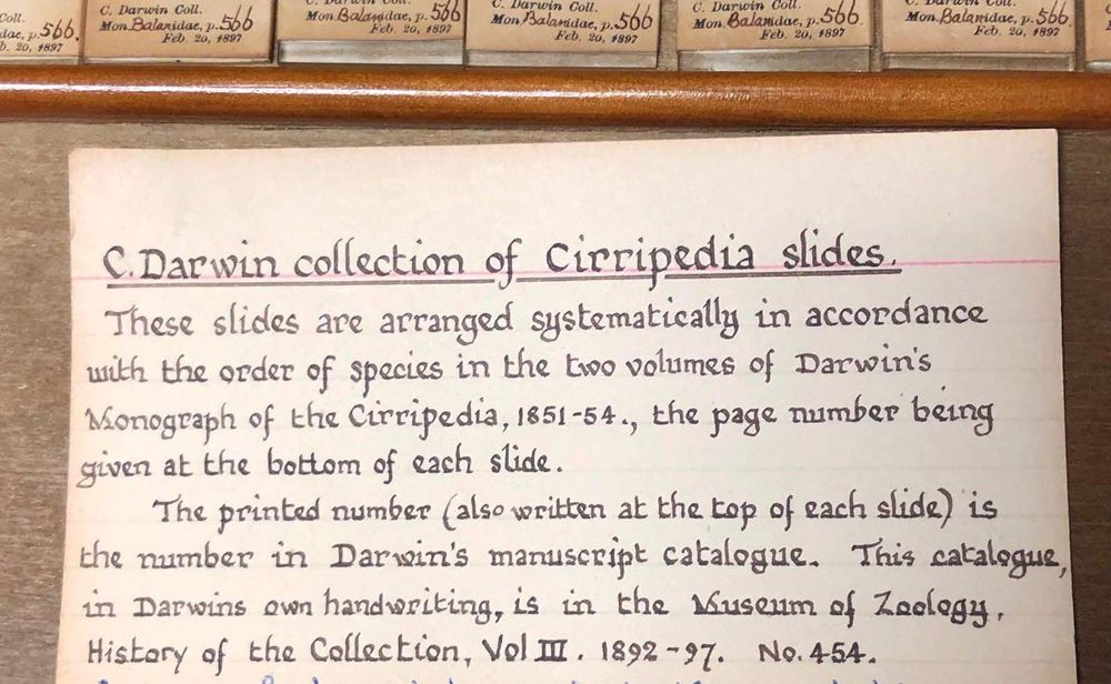 Note describing the slide collection of Charles Darwin barnacles at the University of Cambridge Museum of Zoology. It reads: "These slides are arranged systematically in accordance with the order of species in the two volumes of Darwin's Monograph of the Cirripedia, 1851-1854., the page number being given at the bottom of each slide. The printed number (also written at the top of each slide) is the number in Darwin's manuscript catalogue. This catalogue, in Darwin's own handwritting, is in the Museum of Zoology, History of the Collection, Vol. III, 1892-97. No. 454". Photo by Javier Luque 