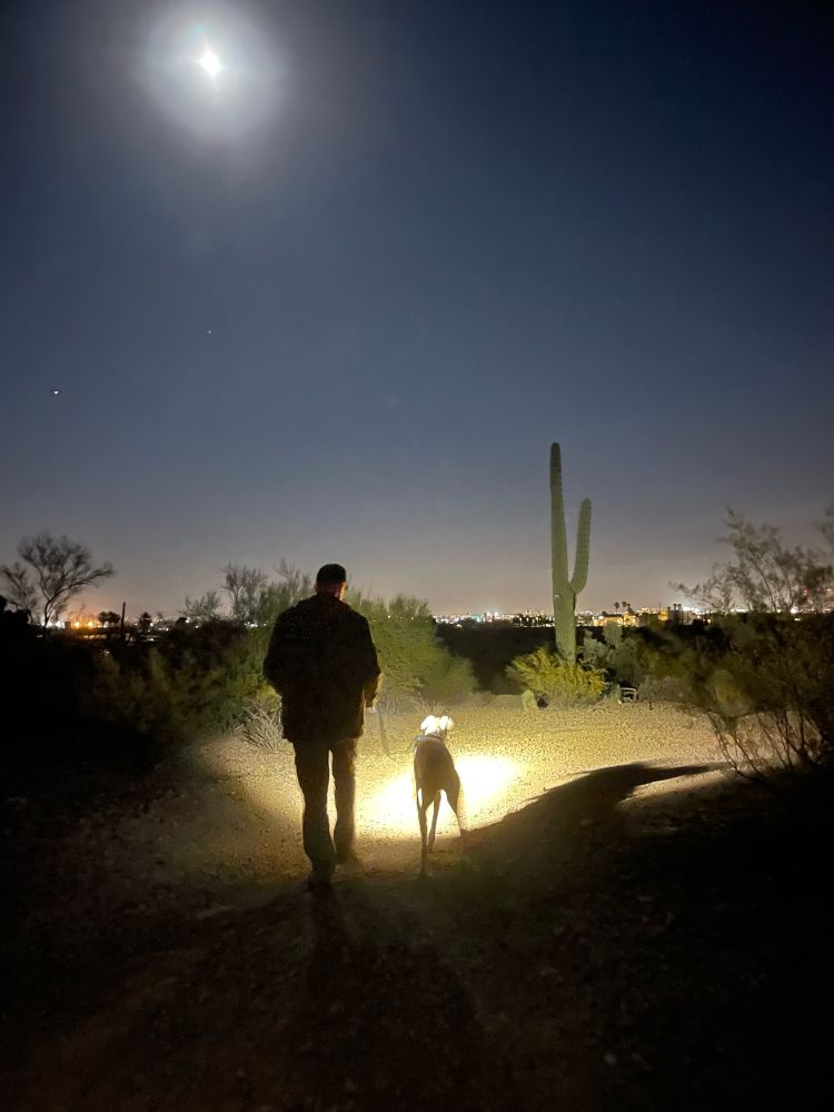 A man and a dog are silhouetted against flashlight. There’s a saguaro cactus in the foreground with a full moon and city lights in the background. 