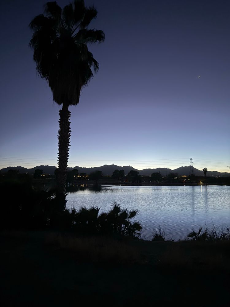 A small lake (pond, really) at twilight, with a tall palm tree on the left. Lights from the park and some houses are casting lights that are reflected in the water. You can see the silhouette of the Tucson mountains are in the distance. 