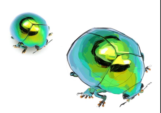 Sketch e estudo de pintura de um besouro azul